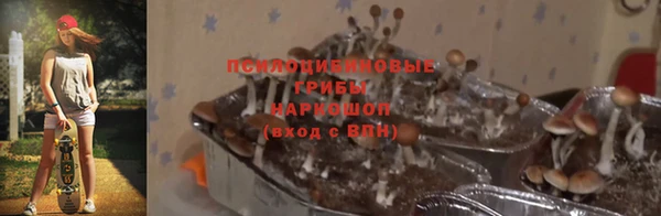 гашиш Аркадак