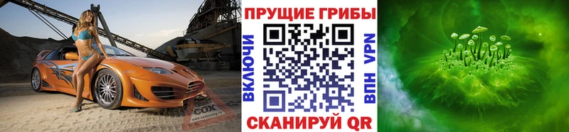 Галлюциногенные грибы Cubensis  мега зеркало  Певек 